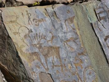  Prehistorical petroglyphs carved in rocks. Images of people and animals. Siberian Altai Mountains, Russia                              