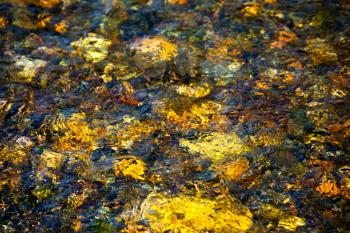 Sun light reflected from stony bottom of river. Golden tone river water texture background