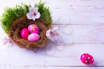 pink Easter eggs in a nest with white flowers in the green fresh grass on the white wooden background. Easter background. Easter symbol. Easter hunt. Copy space