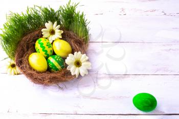 yellow and green Easter eggs in a nest with yellow daisies flowers in the green fresh grass on the white wooden background. Easter background. Easter symbol. Easter hunt. Copy space