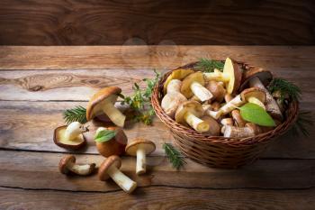 Basket with wild forest mushrooms on the rustic wooden background. Fresh raw mushrooms in the basket.