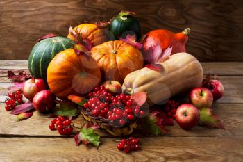 Fall concept with pumpkins, apples and berries. Thanksgiving background with seasonal vegetables and fruits. Abundant harvest background.