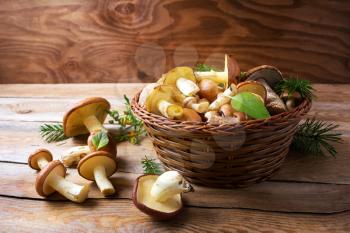 Forest picking edible mushrooms in wicker basket on wooden background. Fresh raw mushrooms on the table. Leccinum scabrum