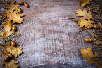 Frame of rye, acorn and fall leaves on dark wooden background. Thanksgiving background with seasonal symbols. 