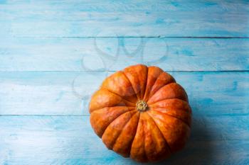 Ripe pumpkins on the blue wooden background. Thanksgiving background with pumpkin. Fall background. Copy space.