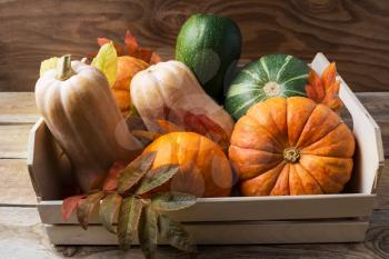 Ripe pumpkins in wooden box. Autumn seasonal vegetables on rustic background 