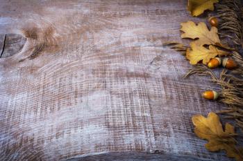 Thanksgiving background with oat, acorn and fall leaves on the old wooden background. Thanksgiving background with seasonal symbols. 