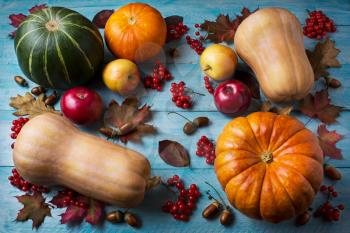 Thanksgiving  concept with pumpkins and apples on blue wooden background. Thanksgiving background with seasonal vegetables and fruits. Fall background