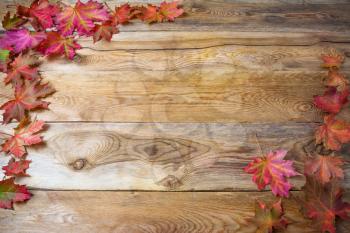 Thanksgiving  greeting background with fall maple leaves. Thanksgiving background with seasonal vegetables and fruits. Copy space 