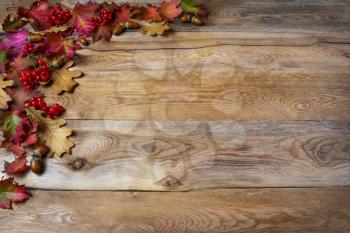 Thanksgiving  greeting with berries, acorn, fall leaves on wooden background. Thanksgiving background with seasonal symbols. Copy space.
