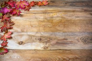 Thanksgiving  greeting with fall maple leaves on rustic wooden background. Thanksgiving background with seasonal vegetables and fruits. Copy space