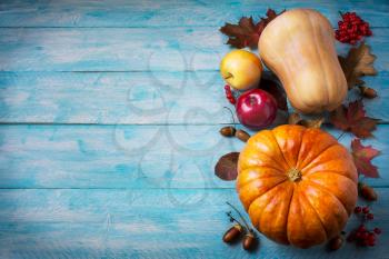 Thanksgiving  greeting with pumpkins and fall leaves on blue background. Thanksgiving background with seasonal vegetables and fruits. Copy space