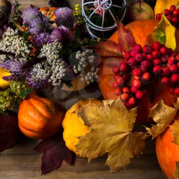 Fall orange pumpkin, rowan berry, clower, white flower and autumn maple leaf