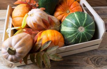 Organic pumpkins in wooden box. Fall seasonal vegetables on rustic background. Thanksgiving background.