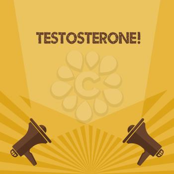 Writing note showing Testosterone. Business concept for Male hormones development and stimulation sports substance Spotlight Crisscrossing Upward from Megaphones on the Floor