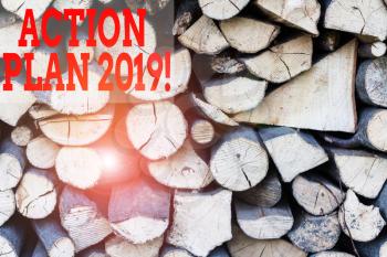 Text sign showing Action Plan 2019. Business photo showcasing proposed strategy or course of actions for current year Background dry chopped firewood logs stacked up in a pile winter chimney
