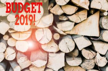 Text sign showing Budget 2019. Business photo showcasing estimate of income and expenditure for current year Background dry chopped firewood logs stacked up in a pile winter chimney