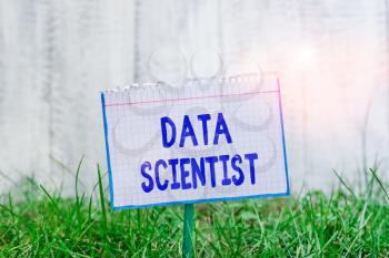 Word writing text Data Scientist. Business photo showcasing demonstrating employed to analyze and interpret complex digital data Mathematic paper attached to a stick and placed in the green grassy land