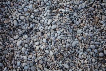 Small beach light pebble rocks floor. Different stones background texture in nature. Outdoors. Grid gravel with several shapes. Natural formations. Color gray