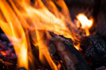 Extreme closeup of open fire flames. Barbecue fire preparing in the outdoors. Burning wood in extreme closeup view. Blurred fire flames in abstract image.