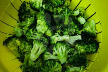 Top view of plastic bowl with vegetables. Full bowl of broccoli in closeup view. Fresh and clean vegetables. Healthy food concept with broccoli vegetables.