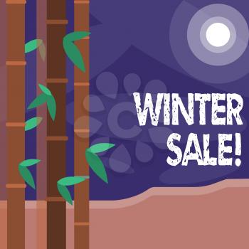 Word writing text Winter Sale. Business photo showcasing occasion when shop sells things at less than their normal price Colorful Sets of Leafy Bamboo on Left Side and Moon or Sun with Round Beam