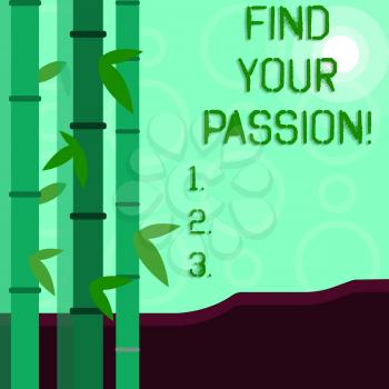 Conceptual hand writing showing Find Your Passion. Concept meaning No more unemployment find challenging dream career Colorful Set of Leafy Bamboo and Moon or Sun with Round Beam