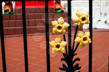 Forged yellow items on gate. Decorative fragment in the form of a flower. Metal gate decorations with bright flowers of steel. Beautiful processing metallic flower