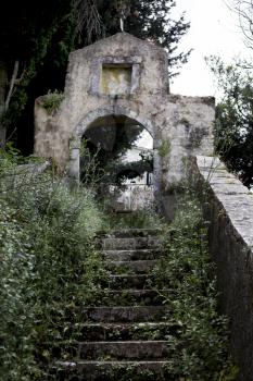 Shrubs and bushes growing on the steps towards the entrance of old ruined monument. The height of trees and shrubs shows as that the monument has not been taken care for years.
