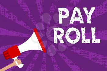 Text sign showing Pay Roll. Conceptual photo Amount of wages and salaries paid by a company to its employees Grunge Megaphone loudspeaker loud screaming scream talk rays speech