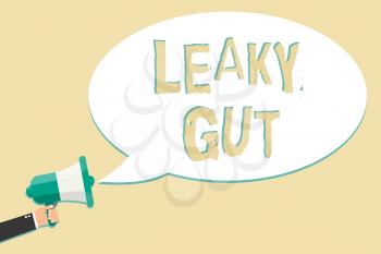 Writing note showing Leaky Gut. Business photo showcasing A condition in which the lining of small intestine is damaged Man holding megaphone loudspeaker speech bubble message speaking loud