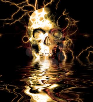 Skull reflected in water