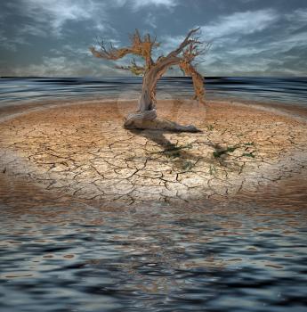 Desert Flood island with dead tree and clock made of grass