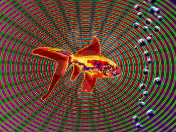 Hallucinogenic image. Golden fish. 3D rendering