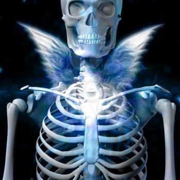Shining skeleton with wings