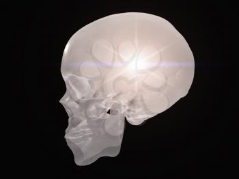 Crystal skull with bright inner light
