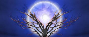 Mystic tree in moonlight.