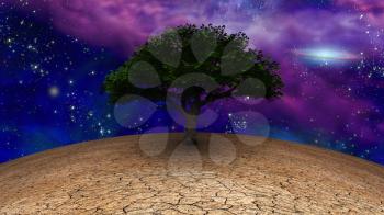 Surrealism. Green Tree of Life in arid land. Galactic disk in night sky
