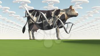 Cow and questions clouds GMO