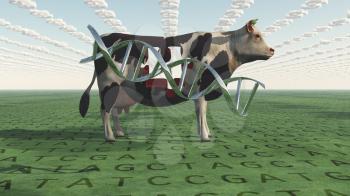 GMO Business Cow