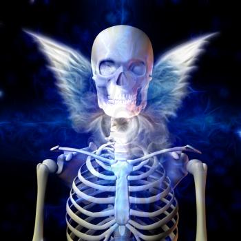 Winged Skeleton and Death Eye