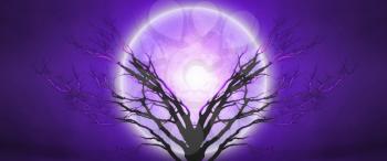 Mystic tree in moonlight.