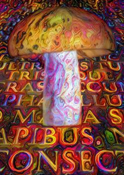 Abstract modern painting. Mushroom with Latin text