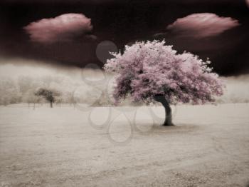 Surreal landscape with red tree and clouds