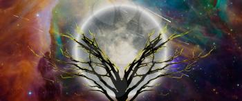 Mystic tree in moonlight. Vivid universe