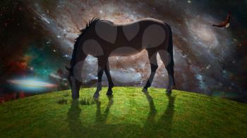 Horse in green field. Eagle soars in surreal sky. Galaxies and stars