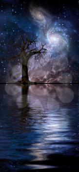 Surreal digital art. Old tree in quiet water. Bright galaxies in the sky