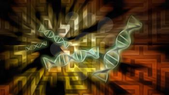 DNA strands on maze background. 3D rendering