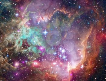 Vivid space. Big Babies in the Rosette Nebula