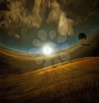 Oil painting. Lonely tree in the field of wheat. Sunset or sunrise